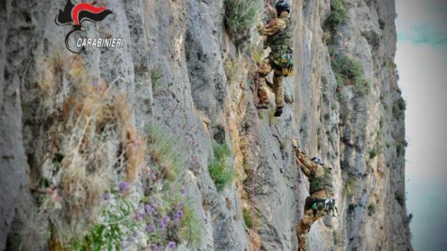 Los cazadores de mafiosos.