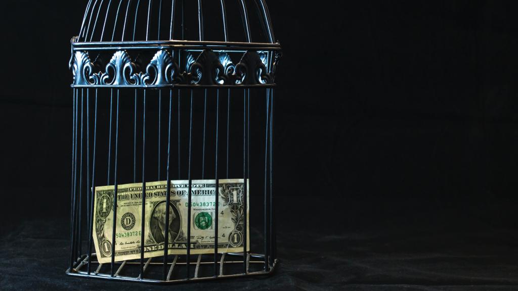 Un billete de dólar enjaulado.