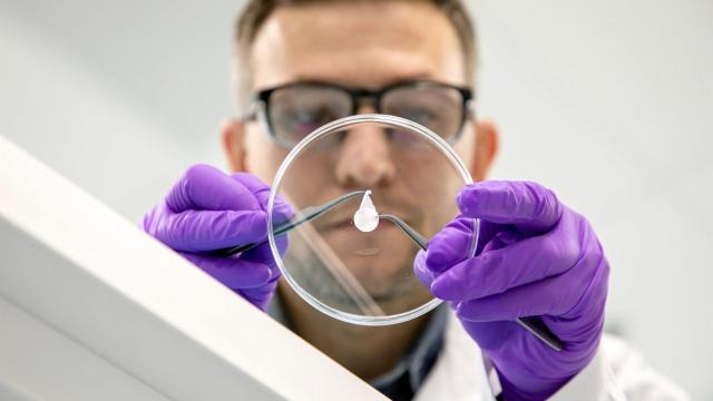 Conoce los métodos alternativos al test en animales que están liderando en la industria cosmética