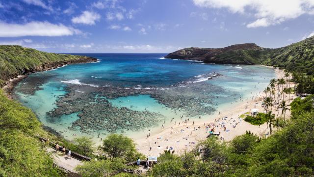 Vista aérea de los corales de la Bahía de Hanauma, en Honolulu (Hawái).