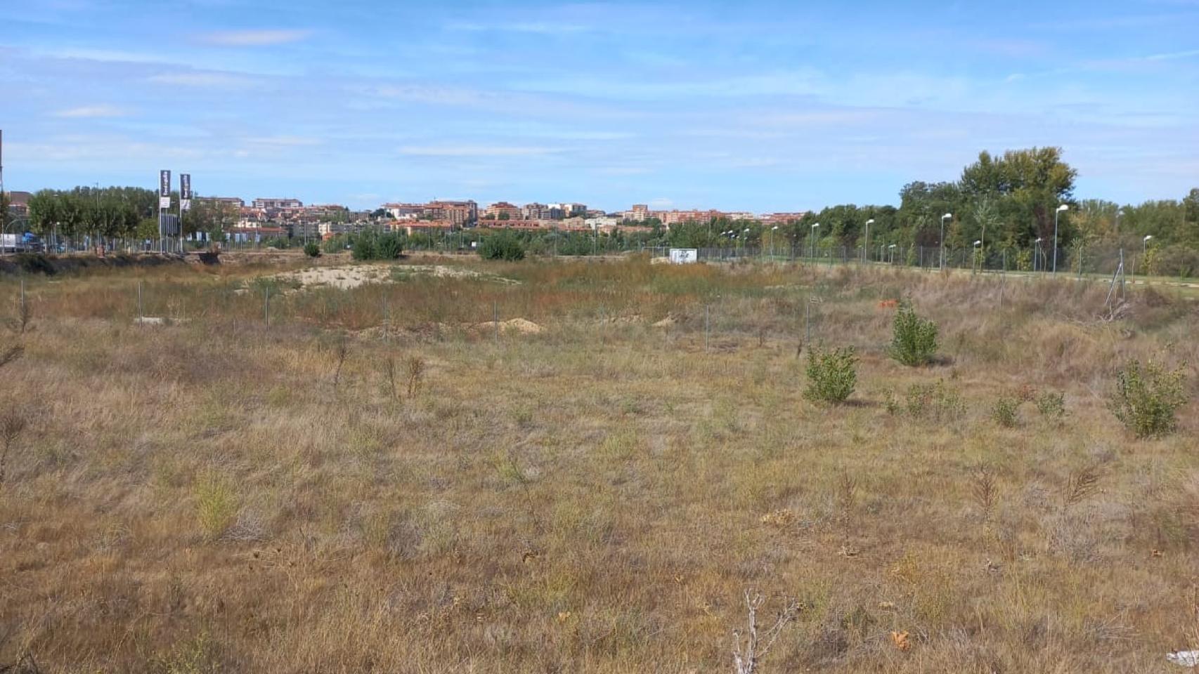 Una de las parcelas municipales del Ayuntamiento de Santa Marta.