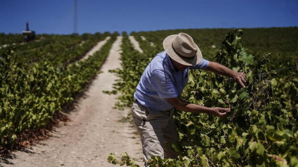Imagen de archivo de un agricultor.