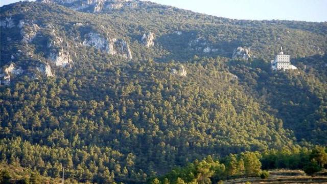 Carrascal del Parque Natural de la Font Roja.