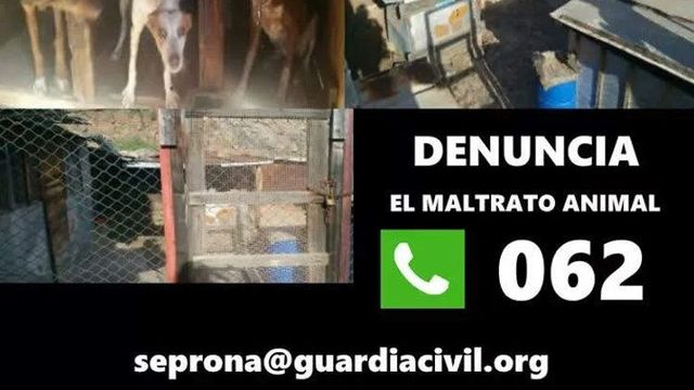 SEPRONA MALTRATO ANIMAL