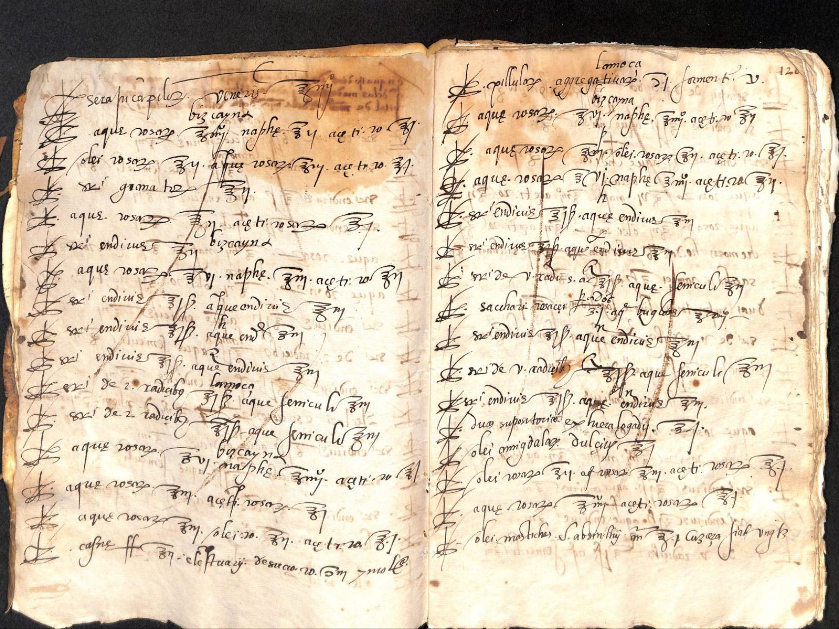 Recetario de medicina del boticario Fernando de Carcassone (1564)