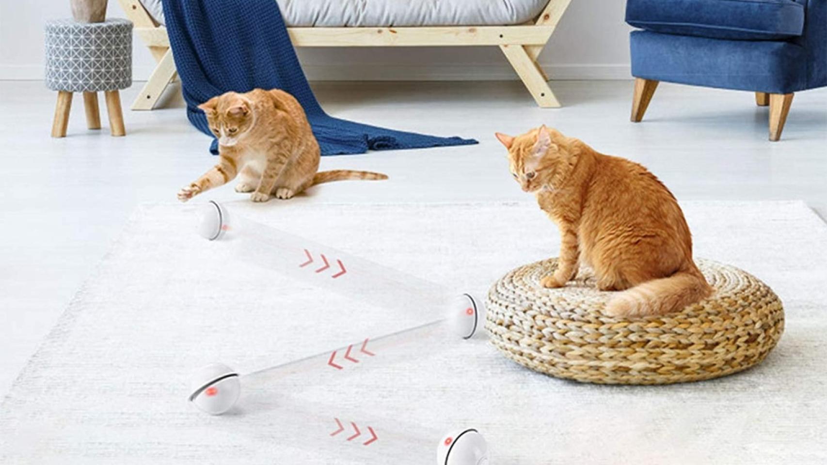 Juguetes para gatos
