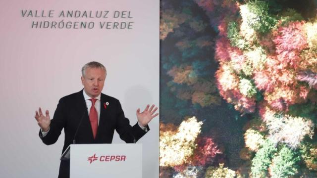 Marteen Westelaar, CEO de Cepsa.