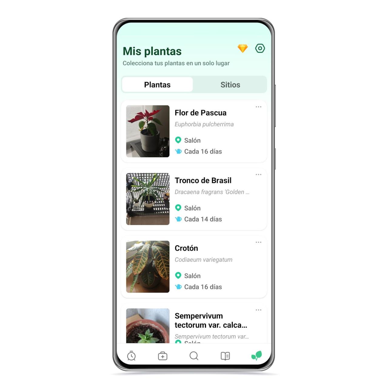 Mis plantas en Plant Parent