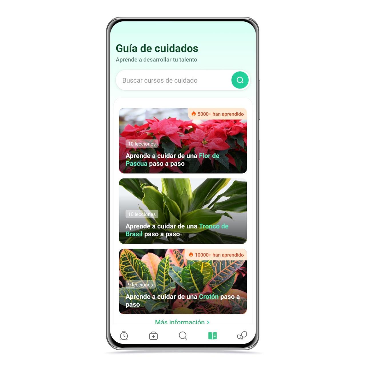 Guía de cuidados de Plant Parent