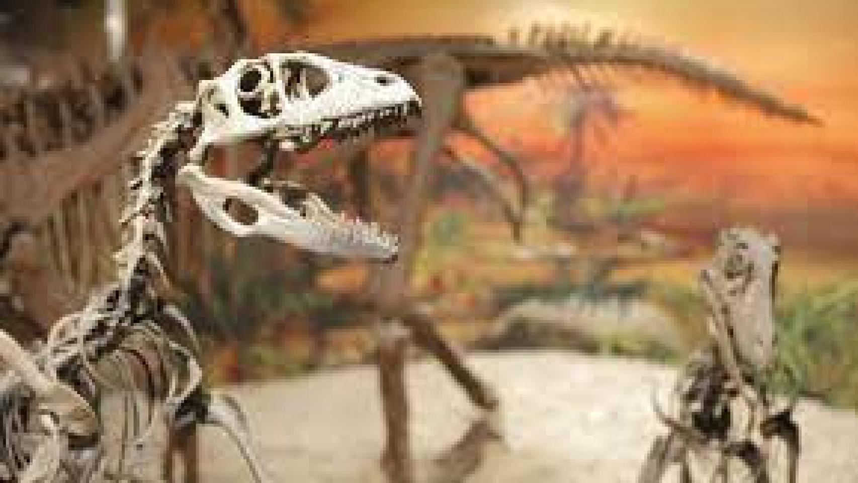 Una imagen del museo, por dentro.