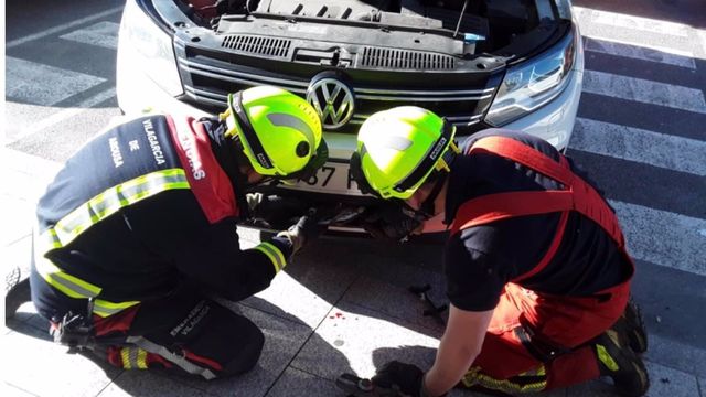 Servicios de emergencia rescatan un águila real tras ser atropellada.