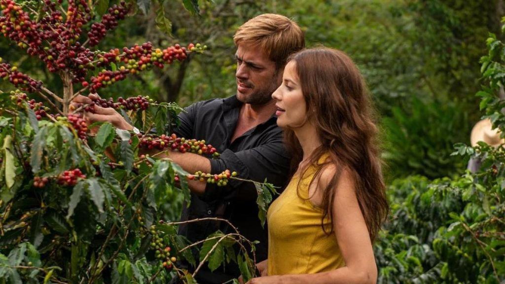 'Café con aroma de mujer', en Telecinco.