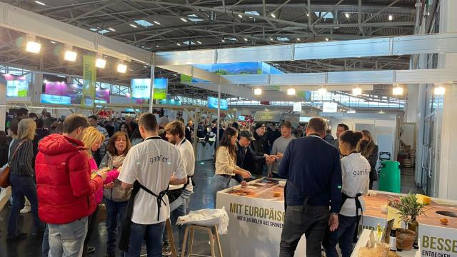 Los mejores aceites de oliva del mundo se dan cita en Munich
