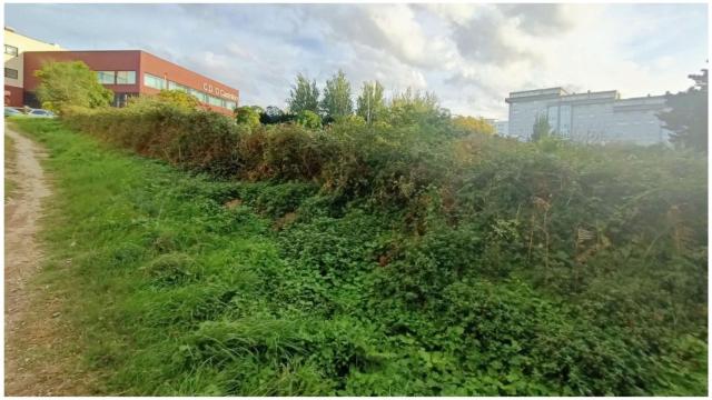 Entorno del polideportivo de O Castrillón.