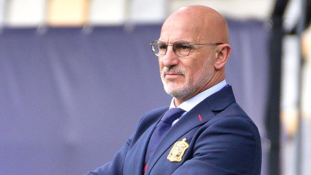 Luis de la Fuente, nuevo seleccionador de España