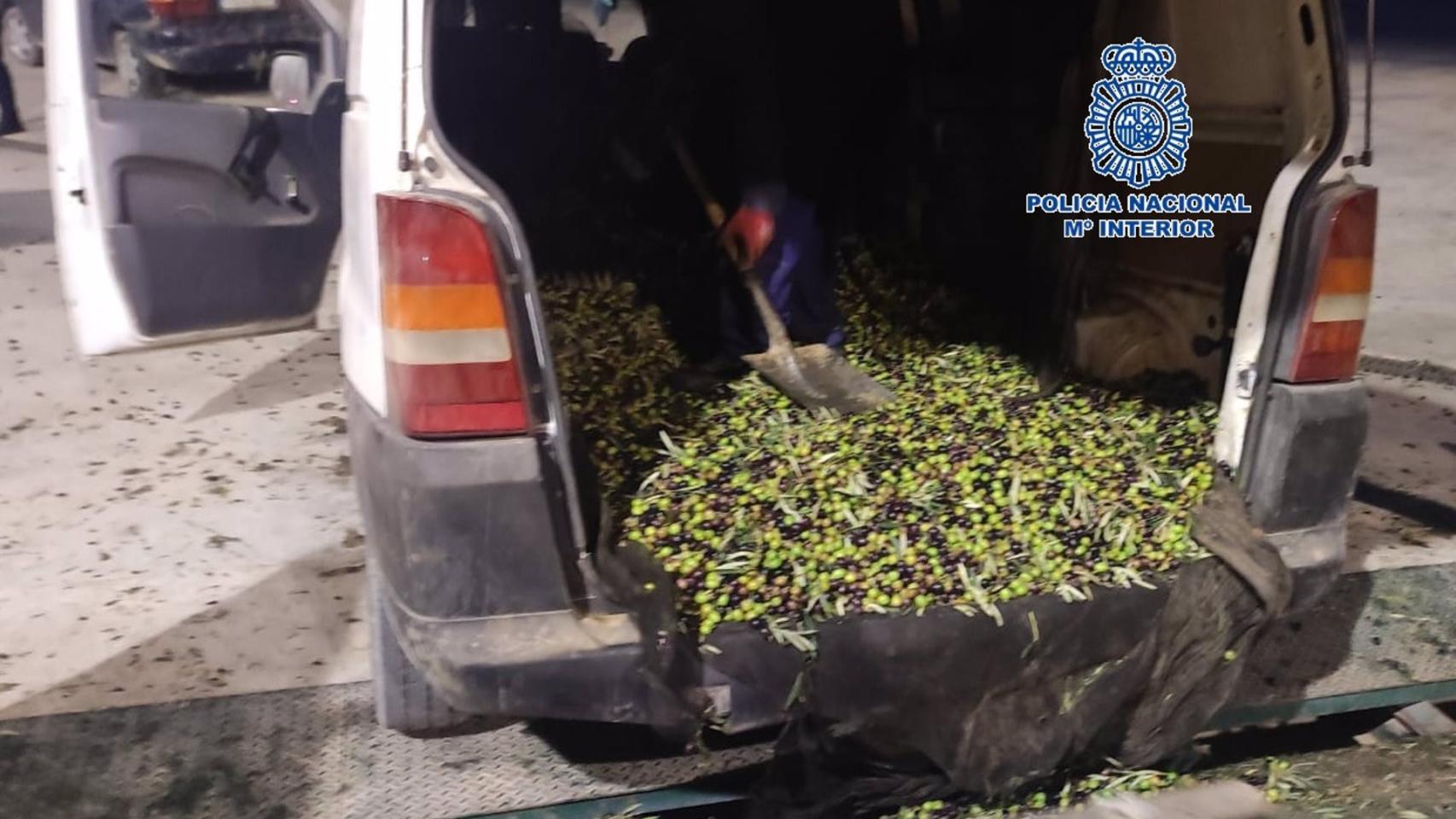 Imagen de las aceitunas en el interior de uno de los vehículos.