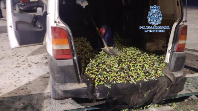 Imagen de las aceitunas en el interior de uno de los vehículos.
