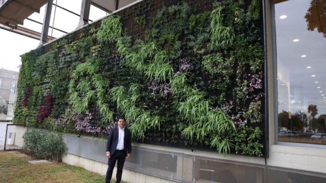 Imagen del jardín vertical instalado por la Diputación de Málaga.