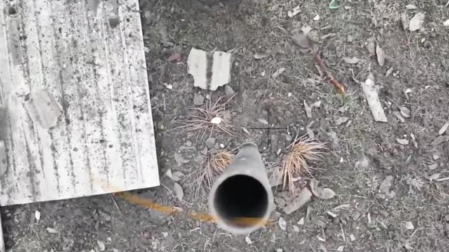 Captura de pantalla del vídeo en cuestión.