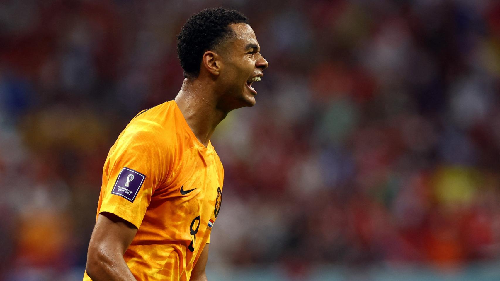 Cody Gakpo, durante el Mundial de Qatar