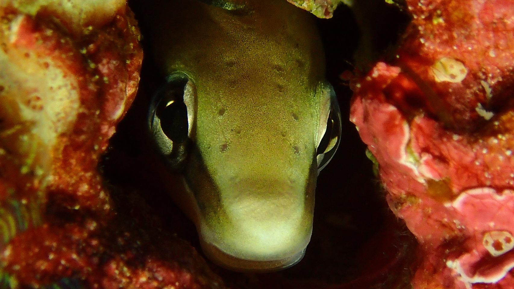 Fotógrafa del mar amarillo 3