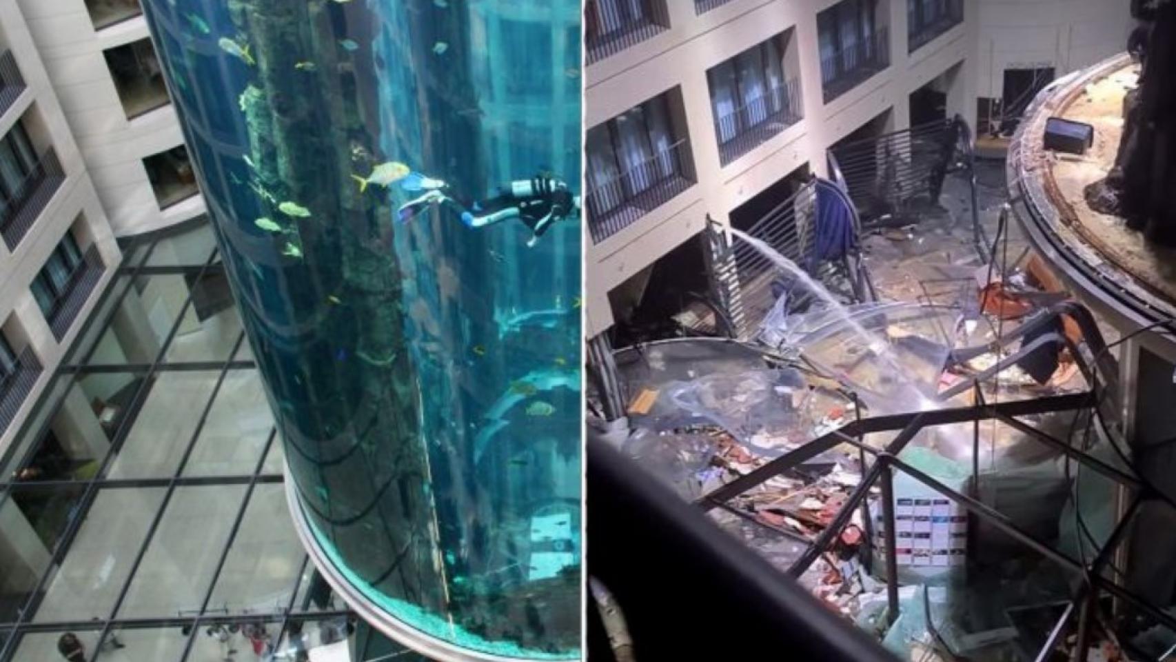 Al antes y el después del AquaDom, el mayor acuario cilíndrico del mundo.