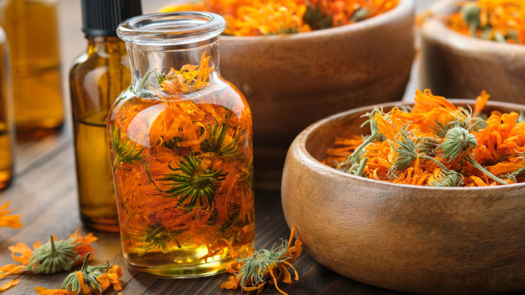 Las flores de caléndula, el mejor remedio casero para el dolor de garganta