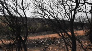 Sierra de la Culebra