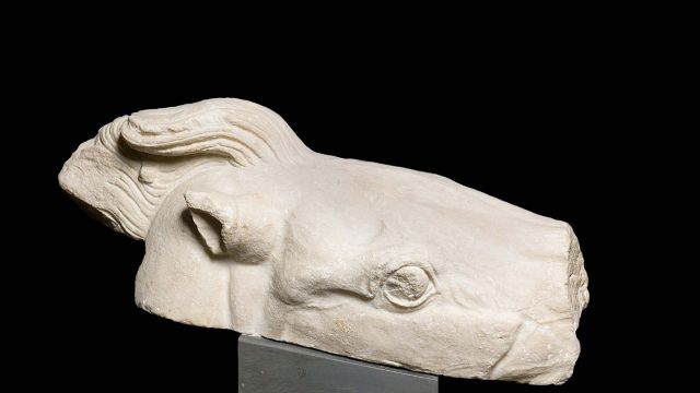Uno de los mármoles del Partenón de los Museos Vaticanos.
