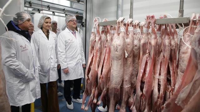 El consejero de Agricultura, Ganadería y Desarrollo Rural, Gerardo Dueñas, visita en Coreses las instalaciones de Asovino