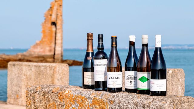 Colección de Vanity Wine seleccionada por expertos.