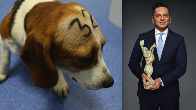 El Dr. Carlos Contreras, el abogado que llevó el caso de la denuncia de Vivotecnia.