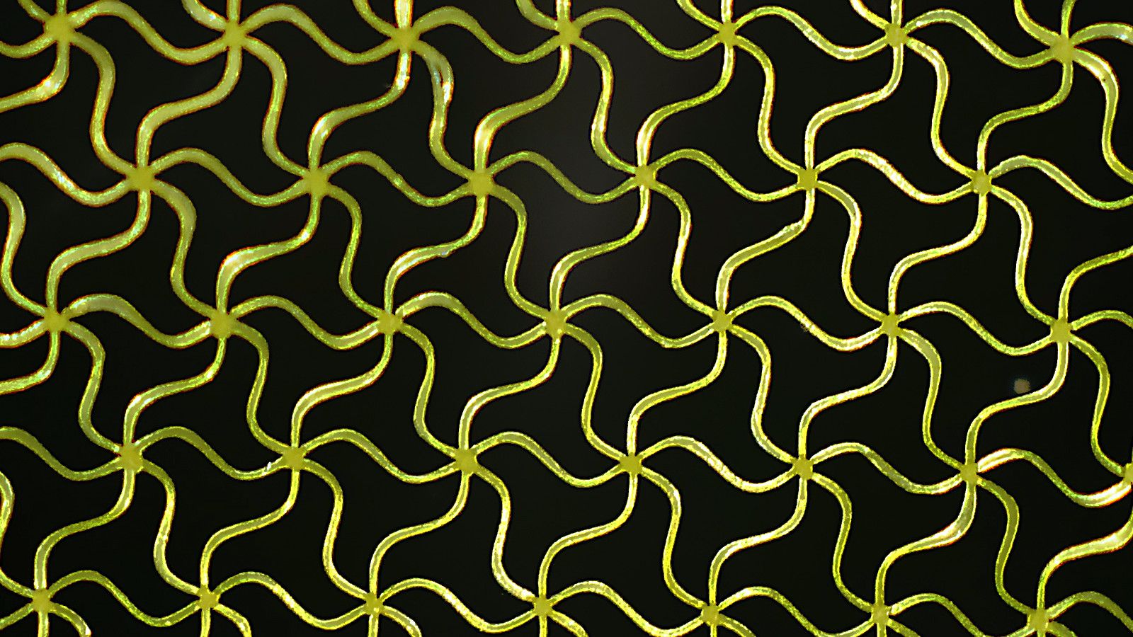 Detalle de la microestructura creada por los investigadores del CSIC./INMA.