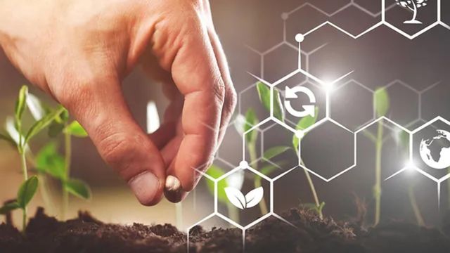 El grupo gallego Rodonita entra en el accionariado de la ingeniería Intacta