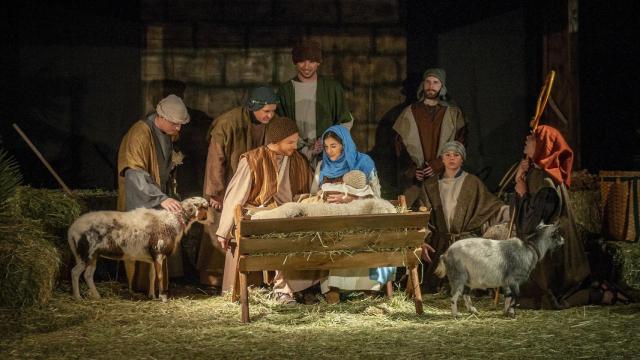 Nacimiento viviente.