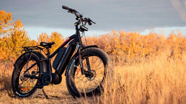 La bici eléctrica Biktrix Juggernaut HD Duo.
