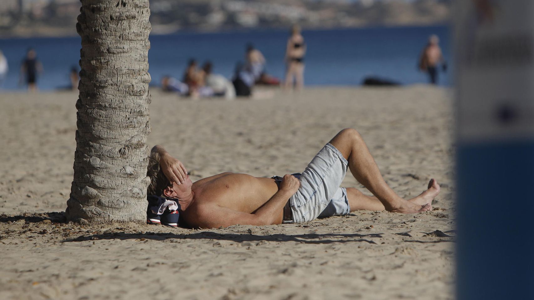 Una persona toma el sol bajo una palmera en la playa alicantina del Postiguet, este jueves.
