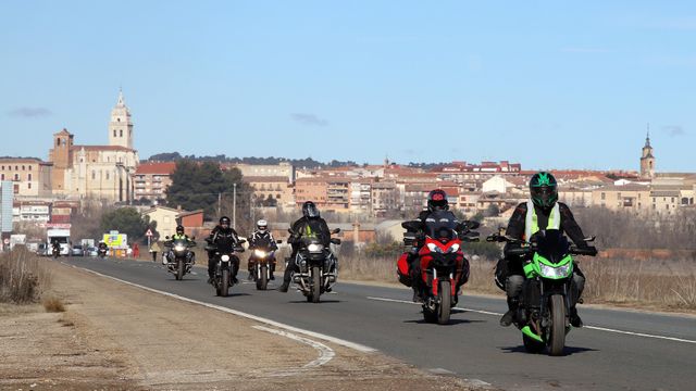 Motauros en Tordesillas