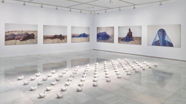 Fotografías de Zina Saro-Wiwa: 'Tortoise Ontologies', 2015. Fotos: Paco Rocha