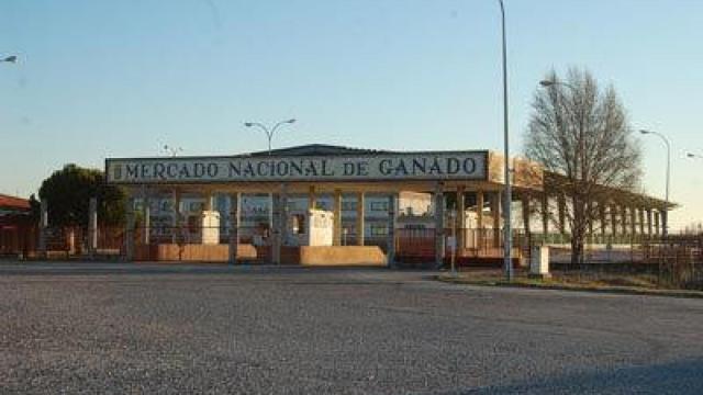 Talavera pagará 260.000 euros tras el desmantelamiento del PP del Mercado de Ganados