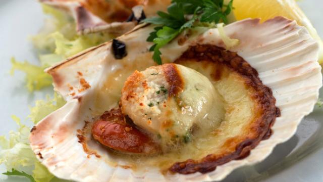 Diferencias entre zamburiñas, vieiras y volandeiras.