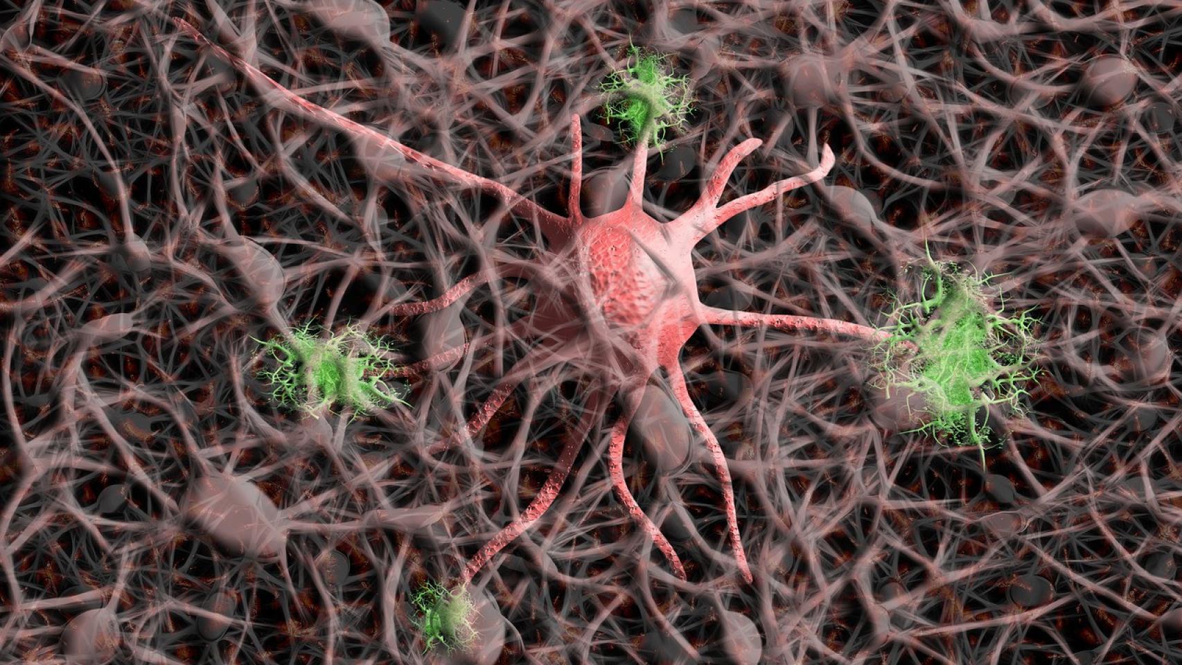 Tetraneuron avanza con el plan de trabajo establecido en su terapia contra el Alzheimer con el objetivo de poder dar luz verde al IND application (Investigational New Drug) y al inicio de la fase clínica en 2024.