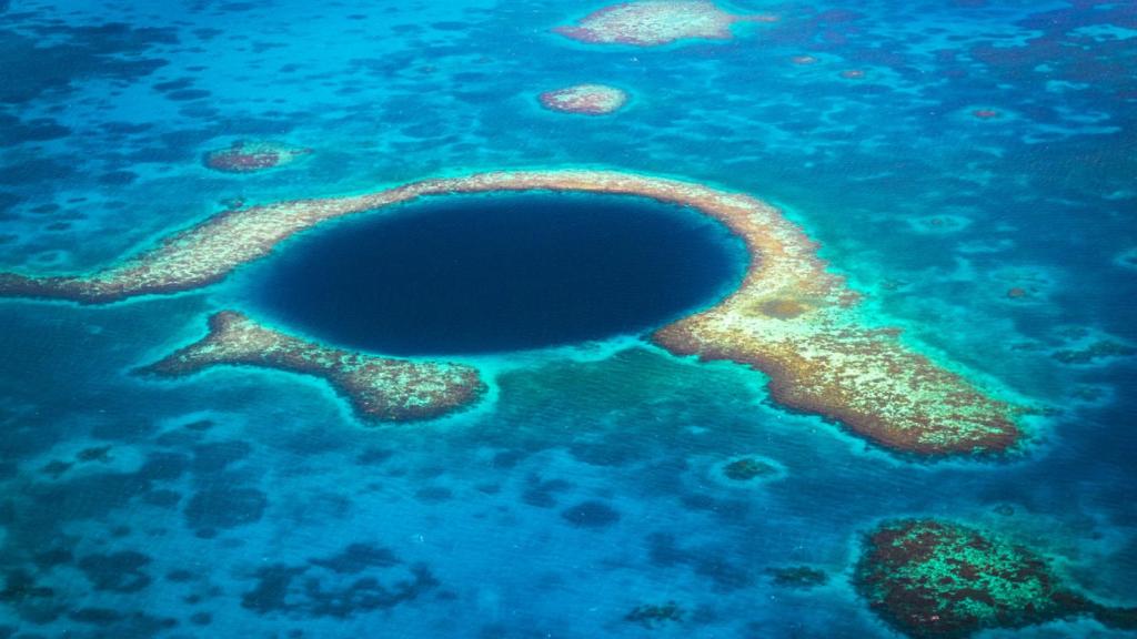Belice