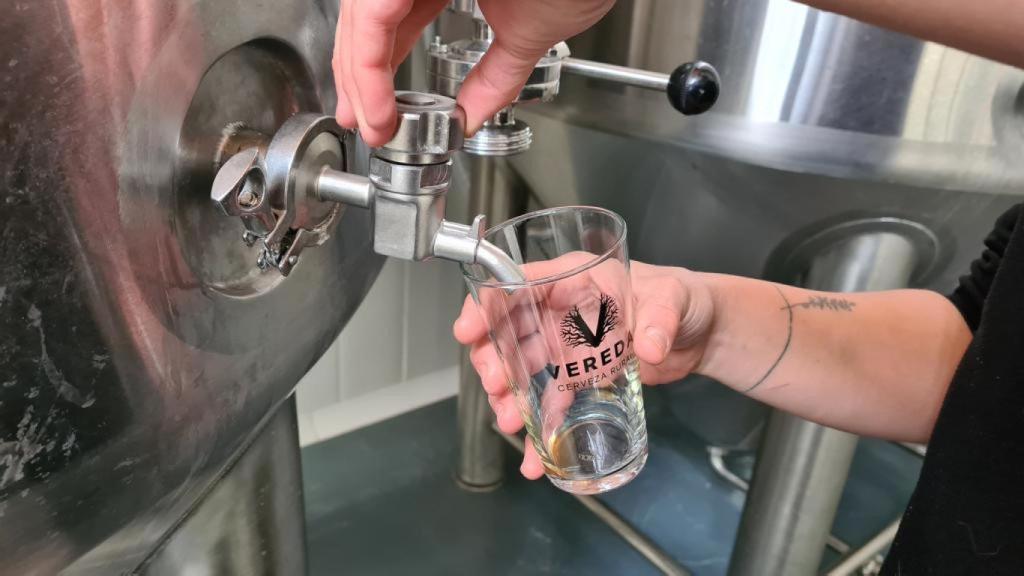Cerveza Vereda