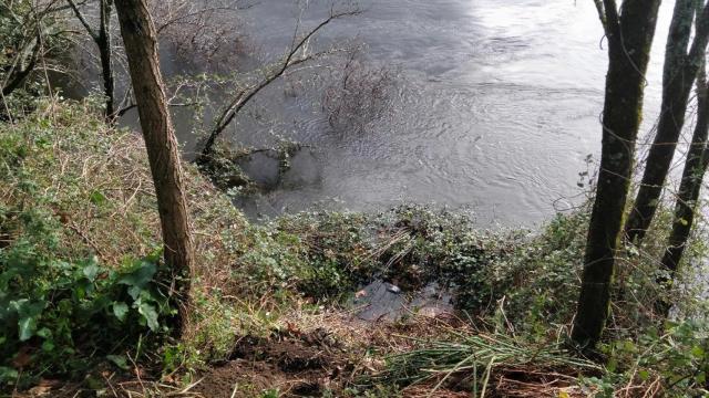 Orilla del río Miño a la altura de Candelas de Tui.