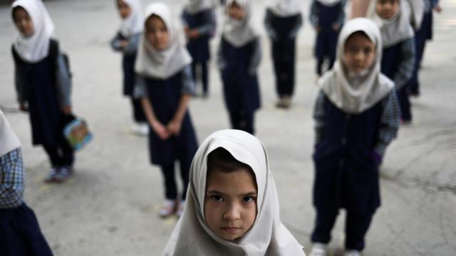 Arrodillarnos y pedirles perdón