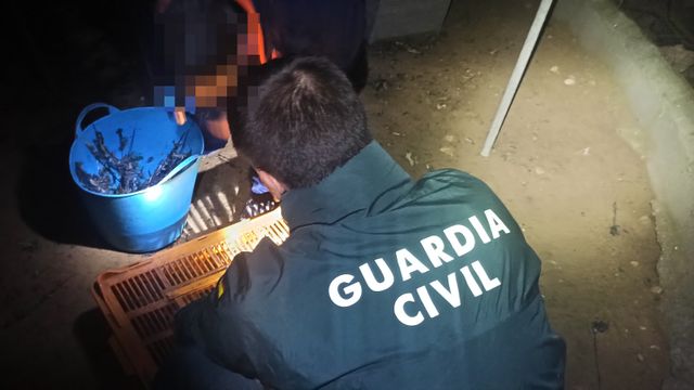 El 'parany' es un método masivo de caza considerado ilegal.