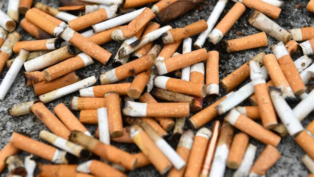 Montaña de colillas en la calle