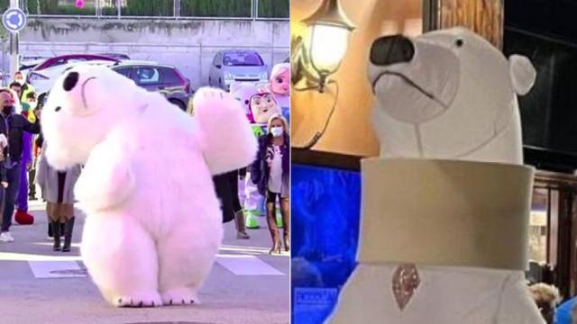 El oso en la cabalgata y el oso con el collarín.