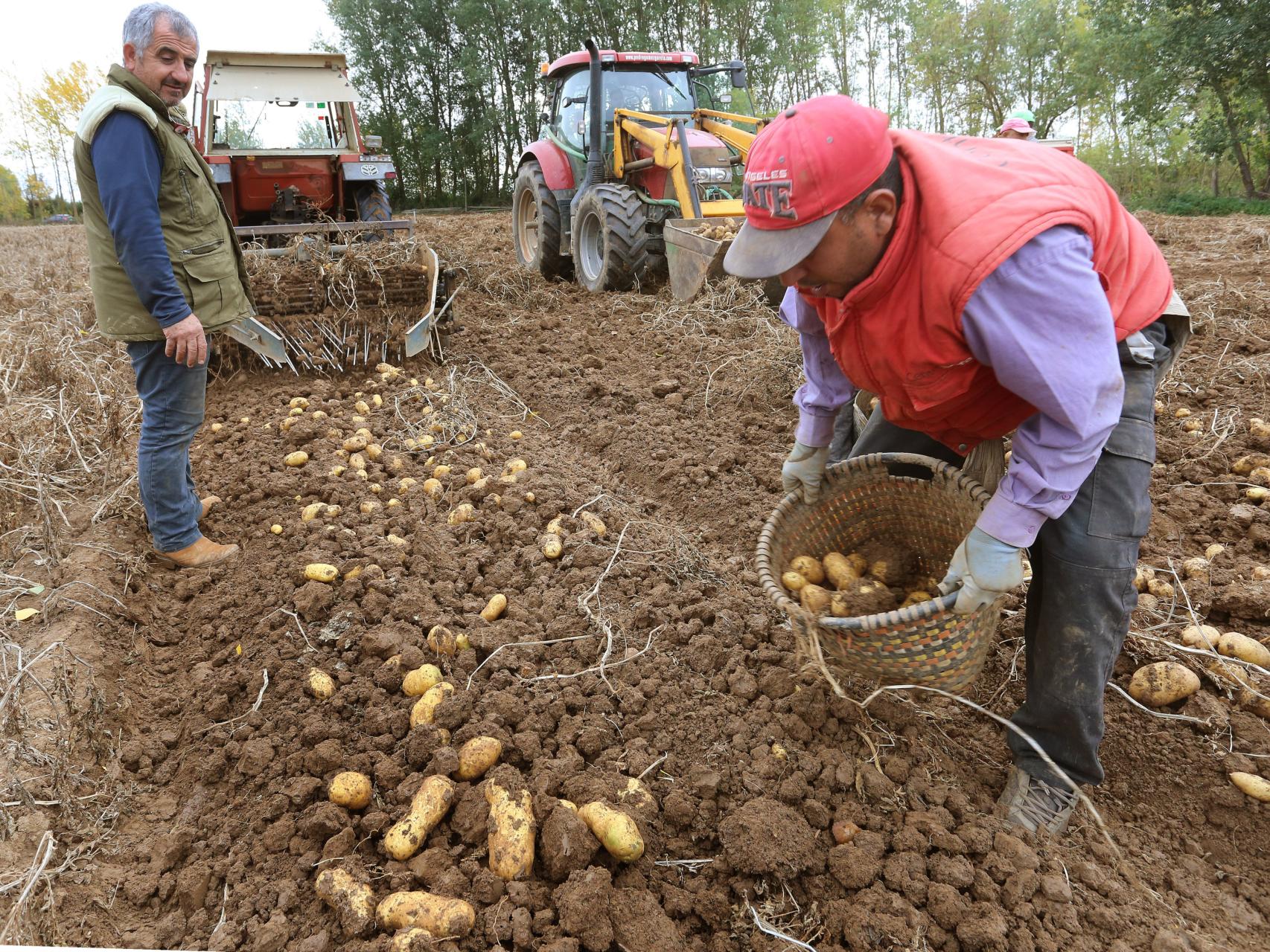 Unos agricultores en la provincia de Palencia.